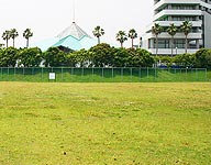 Multipurpose ground image