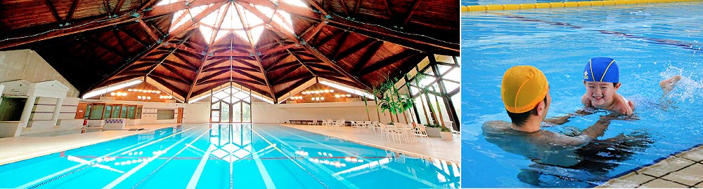 Indoor Palace pool image
