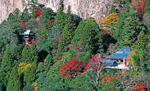 鳳来寺山・湯谷温泉